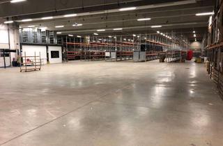 Büro zu mieten in Pamplonastraße 25, 33106 Paderborn, Neuw. Logistikhalle, direkt A33, Rampen, Hochregale, 2.400 m², Büro, Freiflächen, Alarm, beheizt