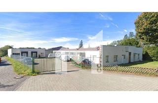 Gewerbeimmobilie mieten in 42929 Wermelskirchen, HALLE | LAGER | EBENERDIG | SOFORT VERFÜGBAR | BEHEIZT | COMSTATE