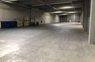 Büro zu mieten in Pamplonastraße 25, 33106 Paderborn, Neuw. Halle, direkt A33, beheizt, 1.300 m², Alarm, Büro und Freiflächen verfügbar, kurze Laufzeiten