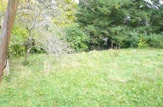 Grundstück zu kaufen in 76593 Gernsbach, Schön gelegener, 721 m² großer Bauplatz in 76593 Gernsbach