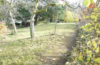 Grundstück zu kaufen in 76593 Gernsbach, Schön gelegener, 721 m² großer Bauplatz in 76593 Gernsbach