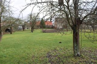 Grundstück zu kaufen in 04886 Beilrode, Großzügiges, zentral gelegenes Bauland in 2. Reihe für die Errichtung eines Einfamilienhauses