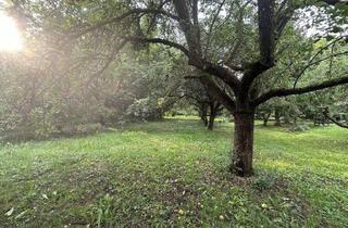 Grundstück zu kaufen in 99867 Gotha, Baugrundstücke in Gotha –Sowohl für Investor als auch privat