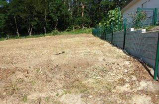 Grundstück zu kaufen in 14806 Bad Belzig, Sensationeller Preis - Baugrundstück in Bestlage