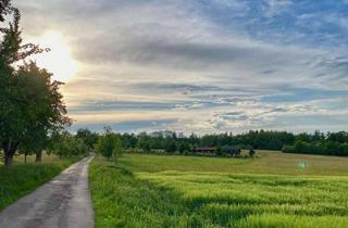 Grundstück zu kaufen in 75365 Calw, Rarität: Ruhig gelegener großer Bauplatz