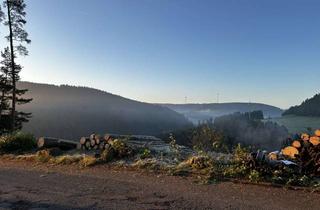 Grundstück zu kaufen in Weg Am Schächle, 78144 Schramberg, Traumblick im Schwarzwald (2 Grundstücke)