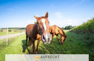 Immobilie kaufen in 85305 Jetzendorf, AUFRECHT °Vielseitiger Landw. Betrieb im Landkreis Pfaffenhofen° – Hofstelle & Teilflächen verfügbar