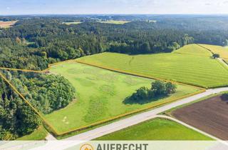 Gewerbeimmobilie kaufen in 85305 Jetzendorf, A U F R E C H T °2,87 ha landwirtschaftliche Nutzfläche° in der Gmd. Pfaffenhofen