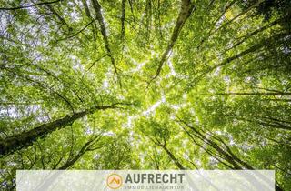 Gewerbeimmobilie kaufen in 85305 Jetzendorf, A U F R E C H T °0,72 ha Waldfläche° in der Gmd. Jetzendorf