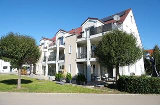 Wohnung kaufen in 86609 Donauwörth, Moderne 2-Zimmer-Erdgeschosswohnung mit Wintergarten-Terrasse im Härpferpark