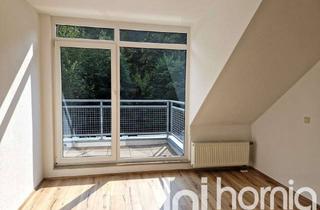 Wohnung mieten in 01855 Sebnitz, Blick ins Grüne - 2RWE mit EBK und Balkon!