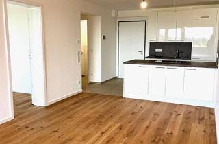 Wohnung mieten in Roedersteinweg, 65719 Hofheim am Taunus, Von privat: Modernes 2-Zi. Apartment mit EBK, Südbalkon, Wellnessbereich, Erstbezug. Toplage Hofheim