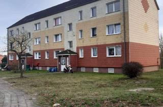 Wohnung mieten in Krähenberg 34-35, 18334 Bad Sülze, Schöne 4-Zimmer Wohnung in Bad Sülze zu vermieten!
