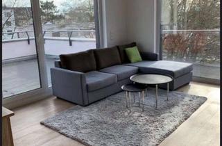 Penthouse mieten in 65933 Griesheim, Penthouse mit riesen Dachterrasse, Erstbezug nach Renovierung