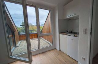 Wohnung mieten in 70439 Zuffenhausen, Neu renoviertes 1-Zi-Appartment mit Terrasse in Zuffenhausen,Blick in Natur, nah S-Bahn Porscheplatz