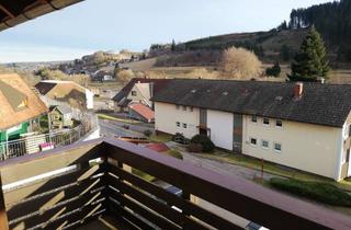 Wohnung mieten in Urseeweg, 79853 Lenzkirch, Geräumige 1-Zimmer-Wohnung in Lenzkirch