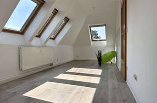 Wohnung mieten in Rudolf-Krahl-Straße 15, 09116 Altendorf, Helle DG-Wohnung