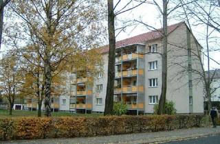 Wohnung mieten in Am Langen Hacken 60, 03238 Finsterwalde, Neu renovierte 2,5-Raumwohnung mit Kletterbonus