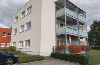 Wohnung mieten in 01968 Senftenberg, seniorenfreundliche 2-Zimmer Wohnung mit Balkon in Senftenberg