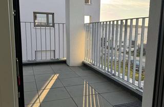 Wohnung mieten in Erwin-Rath-Straße, 73257 Köngen, ERSTBEZUG – Traumhafte 2-Zimmer Neubauwohnung mit Balkon, EBK und TG-Stellplätzen in Köngen