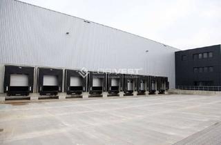 Gewerbeimmobilie mieten in 68766 Hockenheim, 24/7 nutzbare Logistikfläche mit WGK-Folie & flexibler Mietdauer