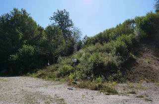 Grundstück zu kaufen in 93128 Regenstauf, SUCHEN SIE RUHE UND ENTSPANNUNG AM ORTSRAND?