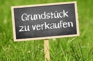 Grundstück zu kaufen in 15806 Zossen, Zossen/OT-Dabendorf-Grundstück mit Bauland – ideal für Selbstnutzer oder Kapitalanleger
