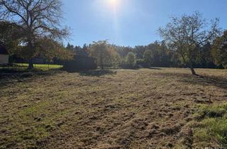 Grundstück zu kaufen in 91592 Buch am Wald, Großes Baugrundstück am Ortsrand von Buch am Wald - voll erschlossen, teilbar & ohne Bauzwang