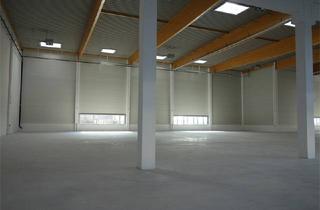 Gewerbeimmobilie mieten in Ludwig-Prandtl-Str. 22-46, 12526 Berlin, Neuerbaute Halle Nähe Flughafen Schönefeld