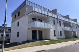 Wohnung kaufen in 97922 Lauda-Königshofen, Lauda-Königshofen-Lauda - BecksteinAreal - Wohnung 20 - Neubauwohnungen in zentraler Lage von Lauda