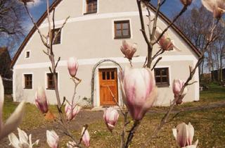 Bauernhaus kaufen in 92360 Mühlhausen, Mühlhausen - Denkmalgeschütztes, renoviertes Haus in Mühlhausen.