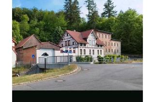 Einfamilienhaus kaufen in 38889 Blankenburg (Harz), Blankenburg (Harz) - Vierseitenhof Mühlengrundstück Einfamilienhaus Mehrfamilienhaus