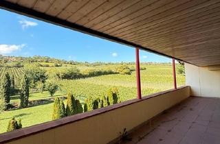 Wohnung kaufen in 67169 Kallstadt, Bad Dürkheim - Traumhafte Wohnung mit Weinfeldblick - Ihr neues Zuhause