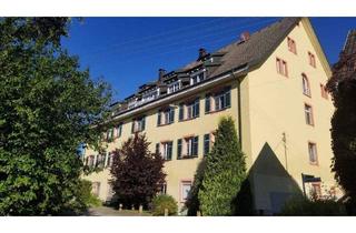 Wohnung kaufen in 79777 Ühlingen-Birkendorf, Ühlingen Birkendorf - Traum 4 12 Zimmer Ferien Eigentumswohnung zu verkaufen.