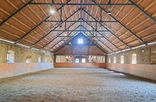 Einfamilienhaus kaufen in 31188 Holle, Holle - Tolle Reitanlage mit Einfamilienhaus und Einliegerwohnung