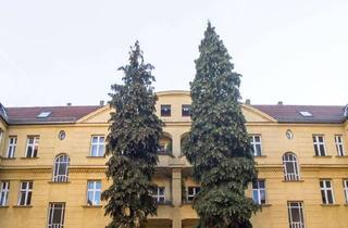 Wohnung kaufen in Heynstraße 24, 13187 Pankow, HOMESK - Vermietete 2-Zimmer-Terrassenwohnung im Altbau in Pankow