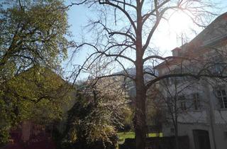 Wohnung kaufen in Obere Neckarstr. 18, 69117 Altstadt, Ruhige Terrassenwohnung mit Traumblick