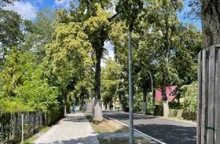 Wohnung kaufen in 15344 Strausberg, Wunderschöne 3-Zimmerwohnung mit Balkon