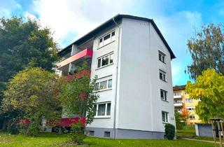 Wohnung kaufen in 74889 Sinsheim, GLOBAL INVEST SINSHEIM | Modernisierte 2-Zimmer-Wohnung in der Gartenstadt mit über 5,5% Rendite