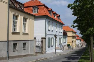 Wohnung mieten in Allee 39, 06493 Ballenstedt, Kleine Single Wohnung in Schlossnähe zum schmalen Preis