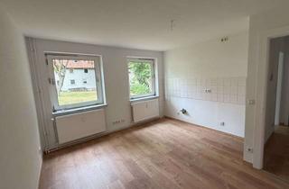 Wohnung mieten in Hinterberg 14, 38229 Gebhardshagen, Frisch renovierte 1-Zimmer-Wohnung mit Charme in Salzgitter-Gebhardshagen