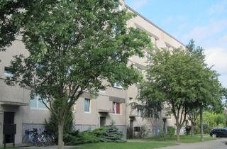 Wohnung mieten in Am Mühlenberg 14, 39326 Zielitz, Ein Raum, viele Möglichkeiten-Ihr Lieblingsplatz f. Singles
