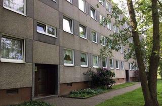 Wohnung mieten in Carlo-Mierendorff-Straße 35, 34132 Oberzwehren, So macht wohnen Spaß: individuelle 3-Zimmer-Wohnung in guter Wohnlage mit einem kleinen Mietergarten