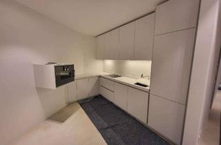 Penthouse mieten in Untere Straße 10, 90768 Dambach, 2 Zimmer Penthouse, des Designers Liebling