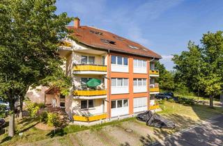 Wohnung mieten in Doctor-Eisenbart-Ring 36, 39120 Hopfengarten, Komplett Renoviert & Bezugsfrei: 2-Zi.-EG-Wohnung mit Balkon