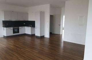 Wohnung mieten in Katharina-Boll-Dornberger-Straße 21A, 12489 Adlershof, helle 4-Zimmer-Wohnung mit großer Dachterrasse und Loggien