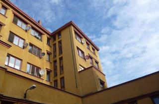 Wohnung mieten in Waltherstraße 11b, 01067 Friedrichstadt, 2-Raumwohnung mit großer Wohnküche in Dresden-Friedrichstadt