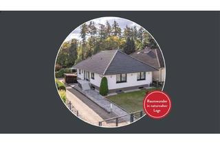 Einfamilienhaus kaufen in 29456 Hitzacker, Lichtdurchflutet, modernisiert, gepflegt – Einfamilienhaus mit Gartenidylle