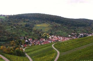 Haus kaufen in 71384 Weinstadt, Idyllisches Wohnen, umgeben von Weinbergen und Obstbaumwiesen.