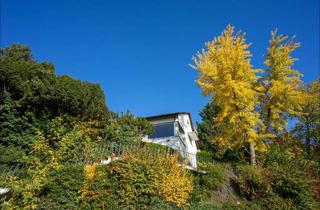 Villa kaufen in 69168 Wiesloch, Exklusives Grundstück in Traumlage – Villa mit Geschichte oder Neubau mit Weitblick